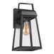 A Globe matte black outdoor wall sconce with clear glass shade and cage.