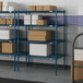 Blue metal Lavex Pro wire shelving with black poles and boxes on the shelves.