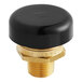 A black and gold threaded Watts LFN36-M1 vacuum relief valve.