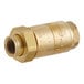 A brass Watts 3/8" dual check valve with a nut.