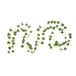 A close-up of Globe green ivy vine string lights with white background.