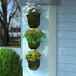 Three Mayne black wall-mount planters with flowers in them hanging on a wall.