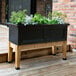 A black Mayne Fairfield planter box with plants on a wooden stand.