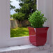 A plant in a Mayne Valencia red tabletop planter on a window sill.