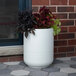 A white Mayne Arden round planter with red and green plants in it.