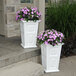 Two white rectangular Mayne Wyndham planters with purple flowers.