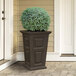 A Mayne espresso planter with a green plant in a pot.