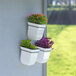 Three white Mayne Valencia wall-mount planters with flowers in them.