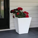 A white Mayne Bristol planter with red flowers.