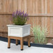 A white square Mayne Fairfield garden bed with a plant with purple flowers in it.