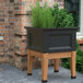 A Mayne Fairfield black elevated garden bed with green leaves in it on wooden legs.