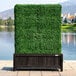 A wooden planter box with a boxwood hedge inside.