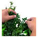 A person's hands holding a NatraHedge Kauai artificial living wall panel with greenery.