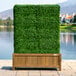 A wooden planter box with a green hedge in it.
