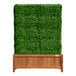 A square green hedge in a wooden box.