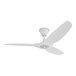 A white Big Ass Fans Haiku outdoor ceiling fan with white blades.