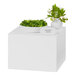 A white metal cube display stand holding a bowl of green salad on a table with a white vase with green leaves.