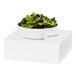 A white metal cube display stand holding a bowl of salad.