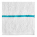 A white towel with a blue stripe.