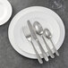 A white plate with a Sola Siena stainless steel spoon and other silverware on it.