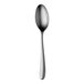 A Sola Siena stainless steel serving spoon with a silver handle.