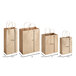 A group of brown paper bags with handles and size measurements.