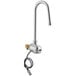 A Waterloo hands-free chrome faucet with a gooseneck spout.