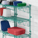 A Regency green metal wall-mounted wire shelf with red plastic plates on it.