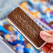 A person holding a Blue Bunny vanilla frozen dessert sandwich.