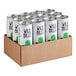 A cardboard box of 12 Wild Bill's Craft Beverage Co. Ring Pop Watermelon Soda cans.