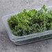 A plastic container filled with fresh green kale leaves.