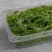 A container of Fresh Dill with green leaves.