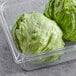 A case of two plastic containers of Fresh Iceberg Lettuce.