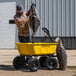 A man using a gloved hand to put a bag of dirt into a yellow Gorilla steel dump cart with black wheels.