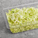 A white container filled with shredded cabbage.