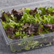 A plastic container of Arcadian Harvest salad.