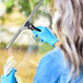 A hand wearing blue gloves uses an Ettore Pro+ squeegee to clean a window.