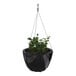 A black Mayne Caprio hanging planter with a plant inside.