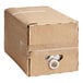 A cardboard box with a white lid and a white handle for Cholaca Pure Unsweetened Liquid Cacao Concentrate.