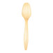 A close up of a VerTerra compostable wooden spoon with a wooden handle.