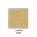 A caramel colored square of HDPE plastic with the words "Caramel Solid Plastic" in white.
