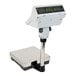 A white electronic CAS EB Series customer-facing digital scale with a screen on a pole.