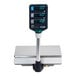 A CAS AP-1 Series customer-facing digital scale with a pole.