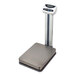 A CAS DL Series digital bench scale with a metal platform and grey and white rectangular design.