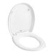 An American Standard white round front toilet seat with a white cover and the lid up.