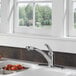 A Delta deck-mount kitchen faucet with a pull-out spray wand over a bowl of fruit.