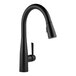 A Delta Essa matte black kitchen faucet with a single lever handle and pull-down spray wand over a sink.