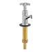 A chrome Regency faucet with a brass handle and gold tube.