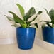 A blue marble planter with a plant in it.