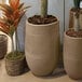 Two Floridis Argos round beige planters with plants in them.